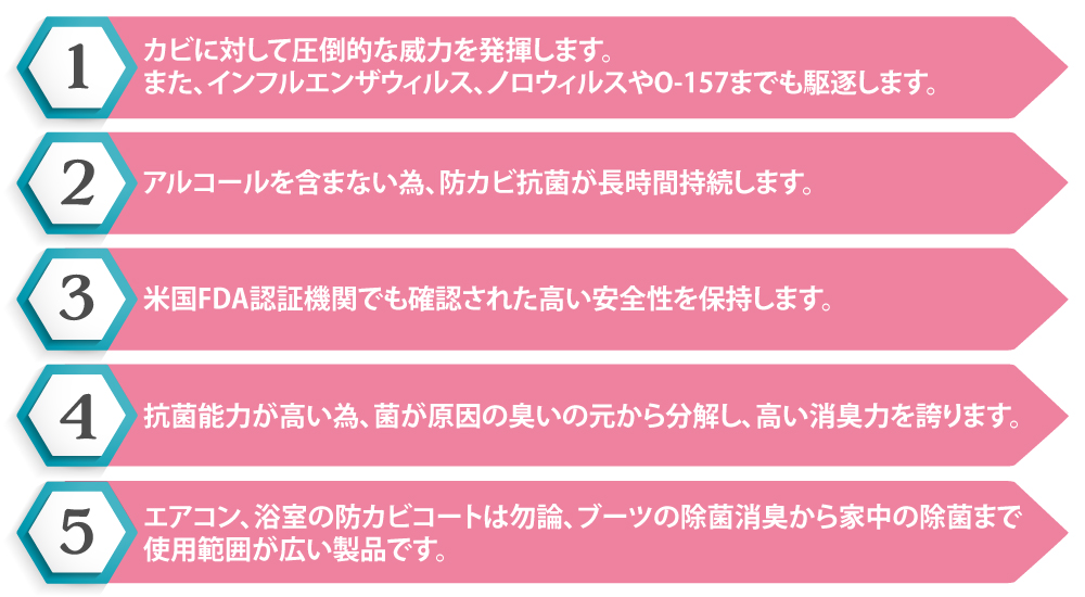 5大特徴