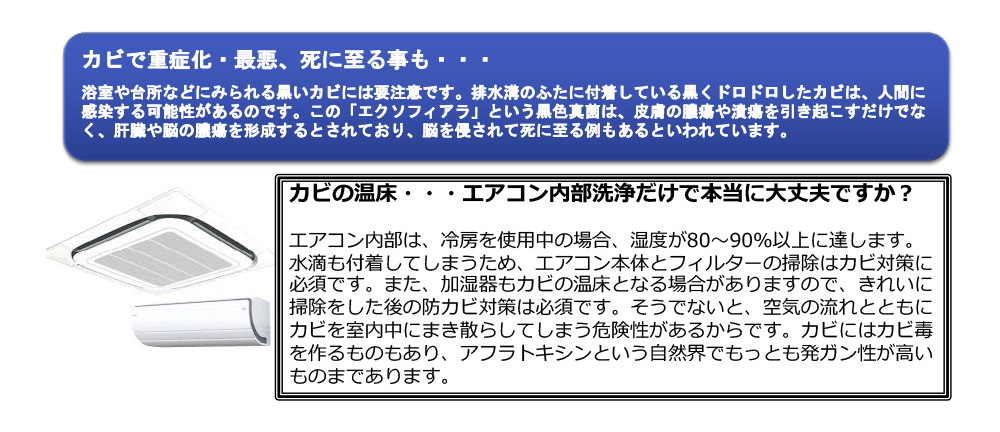 カビが人間に与える悪影響